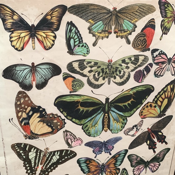 Butterflies Burlap & Wood Scroll Wall Décor - Picture 4 of 15